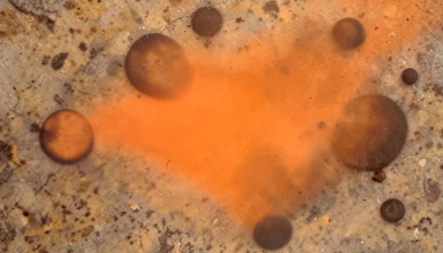 Small truffle-like pieces on a rustic surface with earthy brown and tan tones